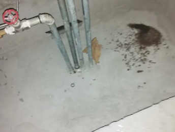 乐都卫生间测漏水价格明细